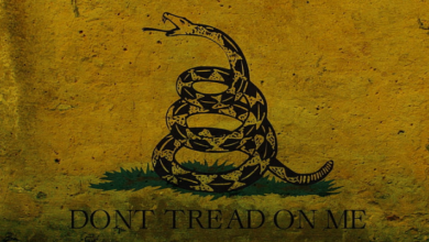 Wallpaper:3oehsfrcc8a= Dont Tread on Me