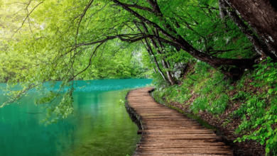 Wallpaper:053u_Phydsw= Spm