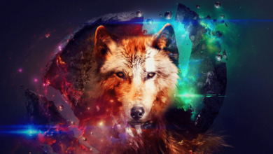 Wallpaper:8xsof43zhre= Galaxy:Huq9wzgdiio= Wolf