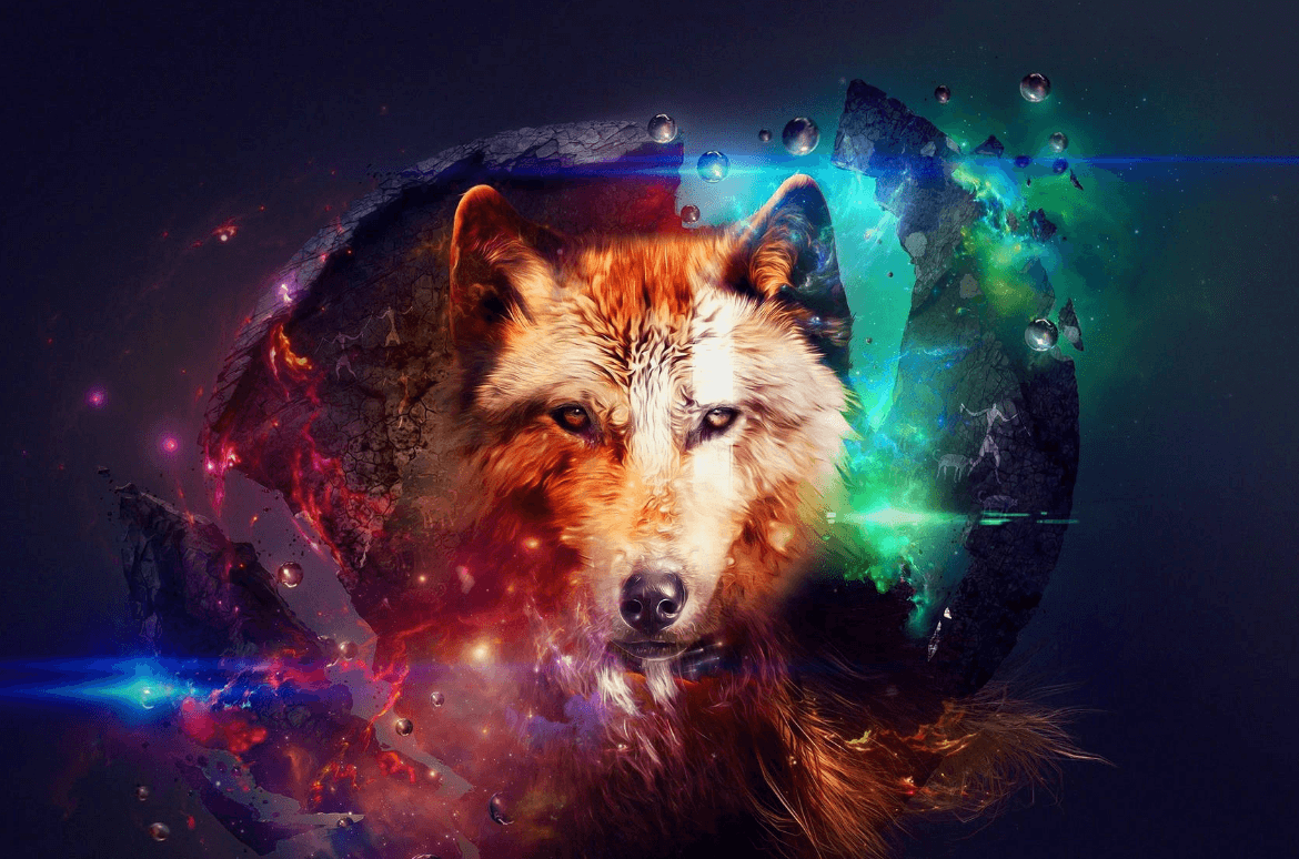 Wallpaper:8xsof43zhre= Galaxy:Huq9wzgdiio= Wolf