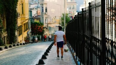 emergent pathways and numbers