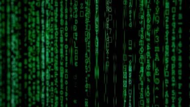 numerical executive oversight report